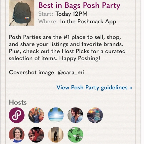 “Best in Bags” Posh Party
Sunday  4/6/25 - Picture 2 of 6